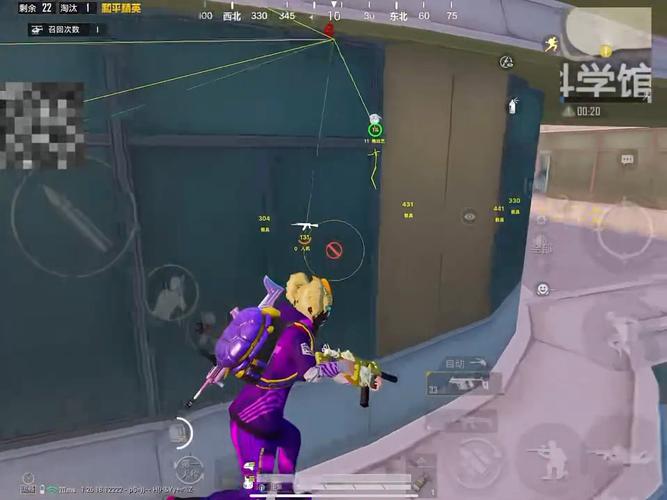 和平精英DDYS辅助